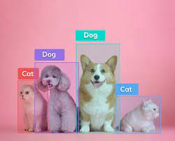 Object Detection|
Add bounding boxes to any image, video, or medical format