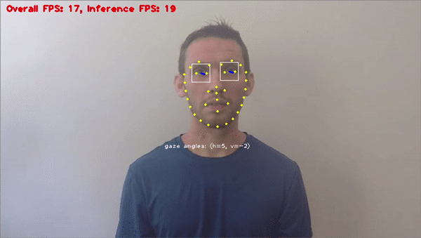 Eye Gaze Detection|
Eye tracking and gaze detection for monitoring the attentiveness and stress levels