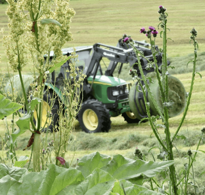 Manufacturing & Agriculture
